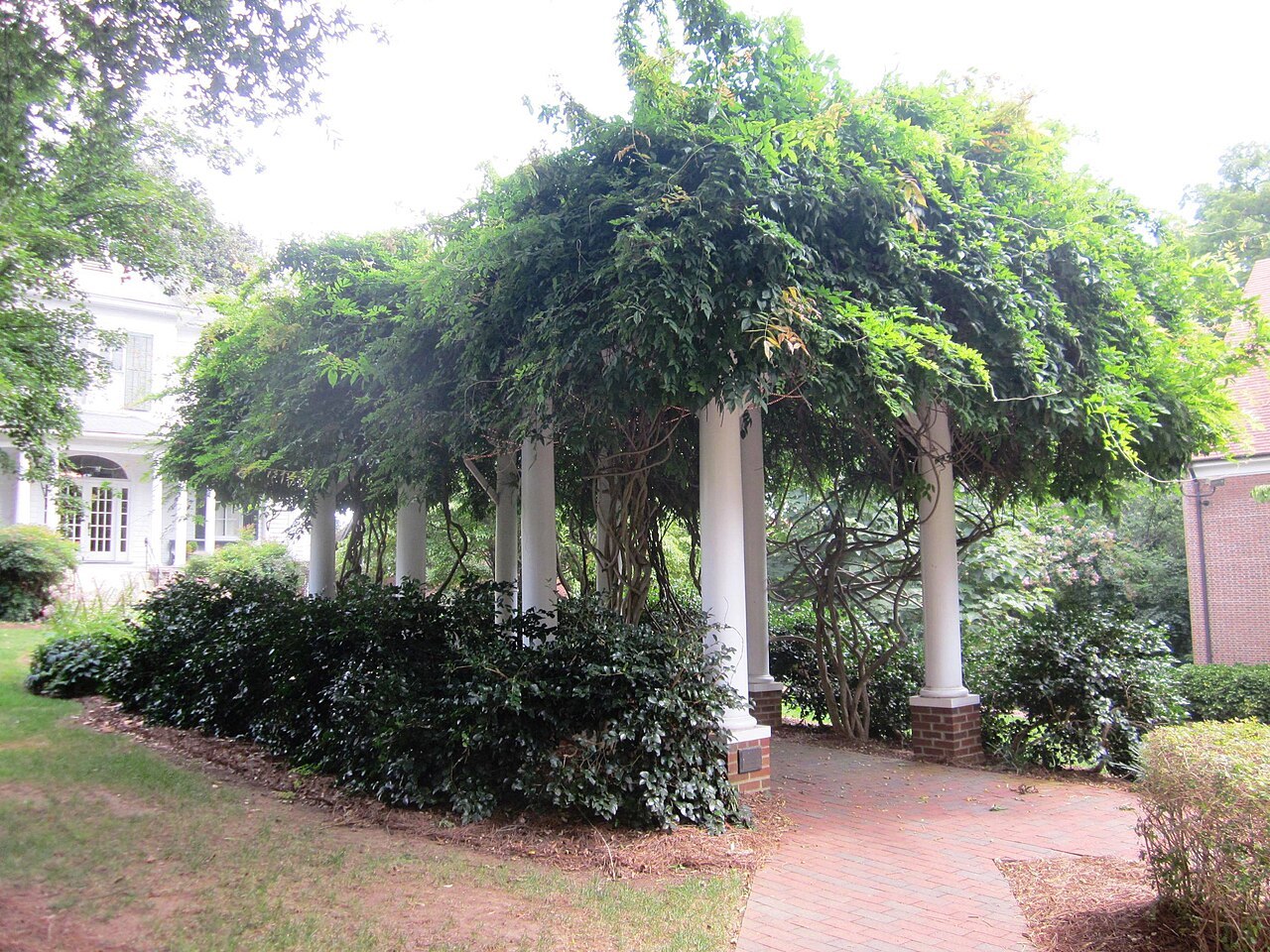 Arbor on Campus of Salem College